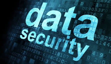 What are my daily website responsibilities in managing my website?